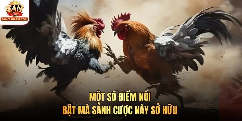 Một số điểm nổi bật mà sảnh cược này sở hữu