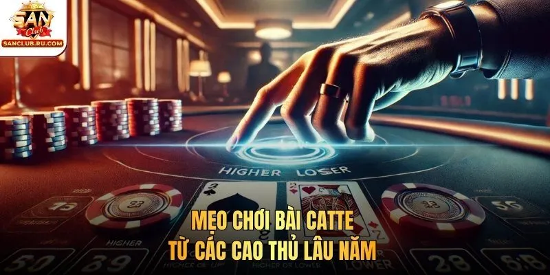 Mẹo chơi bài Catte từ các cao thủ lâu năm